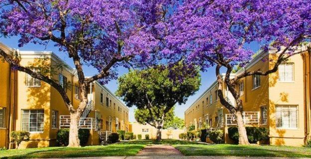 Spacious Charming With Great Views Near The Grove Apartment *